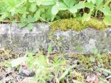 image of grave number 719670